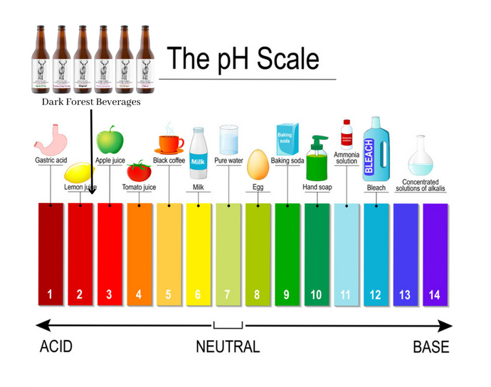 The Gut-Healing Power of Low pH Fermented Beverages